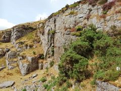 Cragshot turbervillw quarry 4.jpg