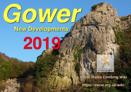 Gower - New Developments (2019)